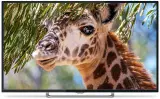 Телевизор LED PolarLine 50" 50PU11TC-SM черный 4K Ultra HD 50Hz DVB-T DVB-T2 DVB-C WiFi Smart TV (RUS) Image