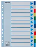 Разделитель индексный Esselte 15262 A4 полипропилен 12 индексов цветной (упак.:10шт)