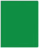 Папка на 2-х кольцах Buro -ECB413/2RGREEN A4 пластик (-ECB413/2RGREEN)