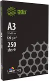 Бумага Cactus CS-LPA3120250 A3/120г/м2/250л./белый CIE170% для лазерной печати Image