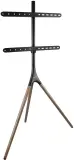 Стойка для телевизора Kromax OMEGA-11 серебристый/береза 32"-70" макс.35кг напольный фиксированный Image